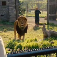映画「幸せへのキセキ」観ました
