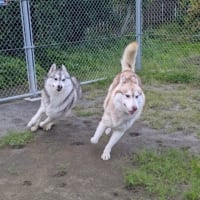 ガッカリだ〜