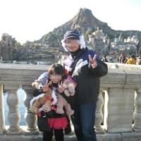 ２０１１年最後の記事（´・ω・｀）ｖ