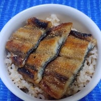 【04/27昼食】三重県産鰻蒲焼頭側でミニ鰻丼、ささっといただけて美味しぃ～わけなんだね：D