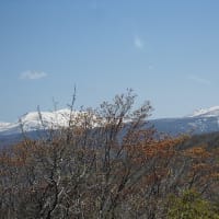 「煩悩林道2025」vol.12「(市)毘砂別送毛線」
