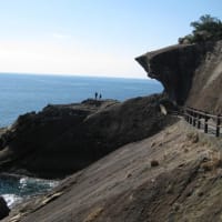 和歌山熊野三山～高野山～京都天橋立～富山をぐるっと観光