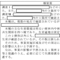 トークセッションで話したこと
