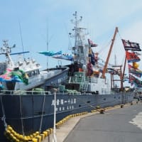 ダイヤモンドプリンセスの旅 (8) 　境港で大漁旗の漁船を見る