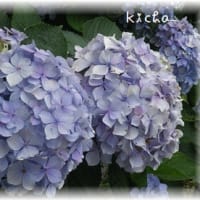 社会構造といじめについて☆