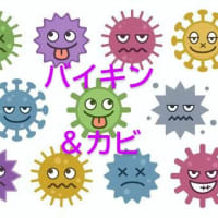 【うんちく噺】高温＆湿気！バイキンは大好物