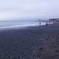 2025/07/13　日　国府津海岸