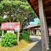 山陰キャンプ旅 二日目は姉の顔を見てから松江市宍道ふるさと森林公園オートキャンプ場へ！！