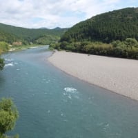 本日の海部川