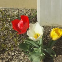 2022/04/05