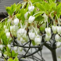 多数派という意識こそが差別を生む