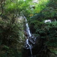 白浜旅行（3）