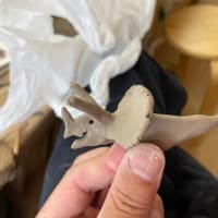 トリケラさんお箸置き
