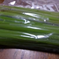 ニンニクの醬油漬け