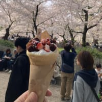 お花見