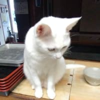 あれから一年