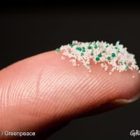 マイクロプラスチックが人体に与える悪影響