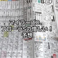 マイラーズC、フローラSの惜しい！予想