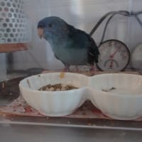 エアコンとヒータ―の関係