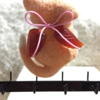ただいま！１年ぶりくらいかしらΣ(｀艸´*)