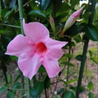 もう7月突入！！