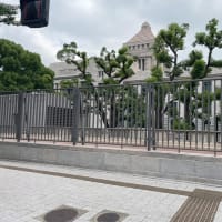 金子やすし衆議院議員にお会いしました！