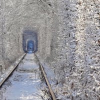 ウクライナ🇺🇦 愛のトンネルの雪景色