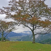 竹田城