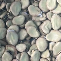 そら豆の種
