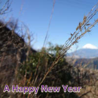 新年明けましておめでとうございます！！