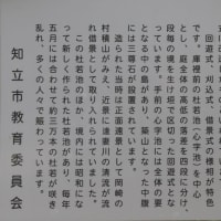 八橋かきつばた園-3