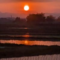 ４月３０日の画像は　オメガ星団