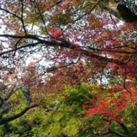 ビバ！若草山！