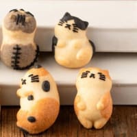 そんなことあるの？