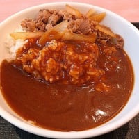 梅雨入りして牛丼の店のカレーが美味くて晩にハム的ソーセージ