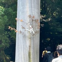 お伊勢さん参り