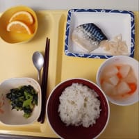 今日の病院食
