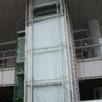 新潟駅にせきとりがやってきた