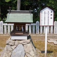 愛媛県西条市、中野甲「伊曽乃神社」です！！