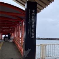 2024年振り返り（マイル修行）