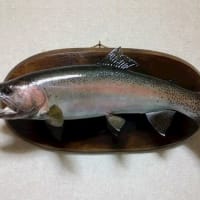 ブラックバス」の剥製が完成しました! - 虫さん魚さん ブラックバス」の剥製が完成しました! - 虫さん魚さん