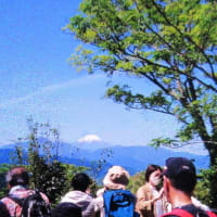 長女家族らと高尾山登山に一泊二日の旅を楽しみました
