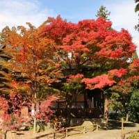 昌禅寺（長野市上松）紅葉探訪