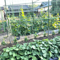 6月19日(木)②