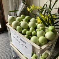 ご自由にどうぞ