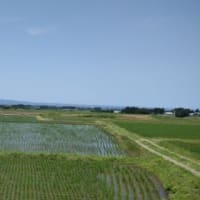 2025年6月18日 羽黒山五重塔