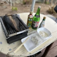 天気が良いので