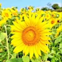 今日いち-2025年7月6日