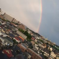 虹