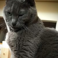 天使のウィンク？